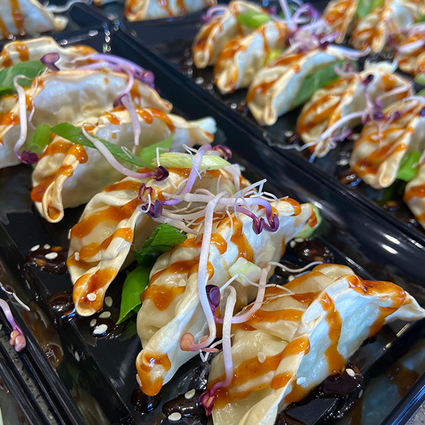 Gyoza vierkant klein